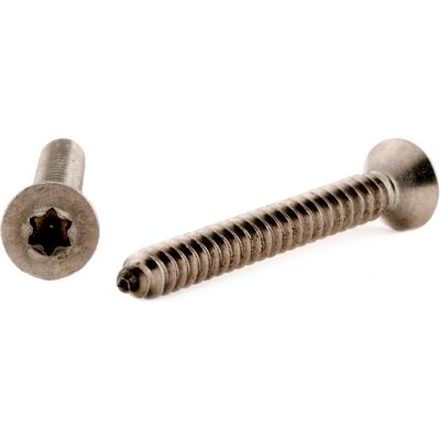 Arvid Nilsson A4 Torx Skruer - 25mm x 4,2mm - Pakke 200 Arvid Nilsson A4 Torx Skruer - 25mm x 4,2mm - Pakke 200