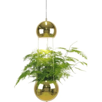 Globen Lighting Planter Luminaire de Plafond en Laiton - Éclairage de Plafond - Publicité Globen Lighting Planter Luminaire de Plafond en Laiton - Éclairage de Plafond - Publicité