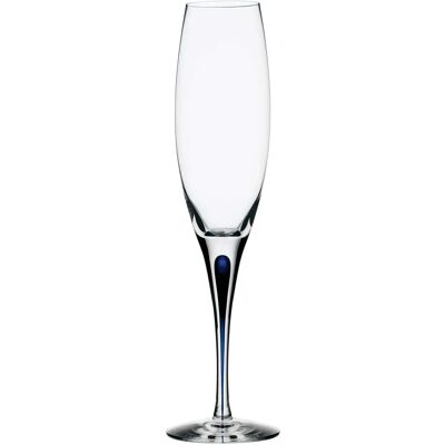 Orrefors Intermezzo Blå Champagneglass - Champagneglass Orrefors Intermezzo Blå Champagneglass - Champagneglass