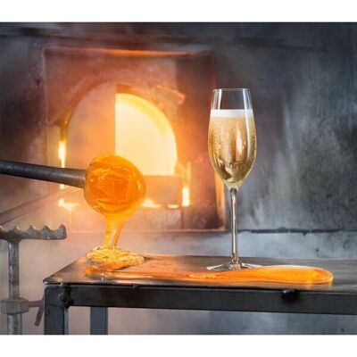 Orrefors Merlot Champagneglass - 33cl Orrefors Merlot Champagneglass - 33cl