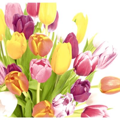 Paper Design - Tulips - Multicolore - Serviettes - Publicité Paper Design - Tulips - Multicolore - Serviettes - Publicité