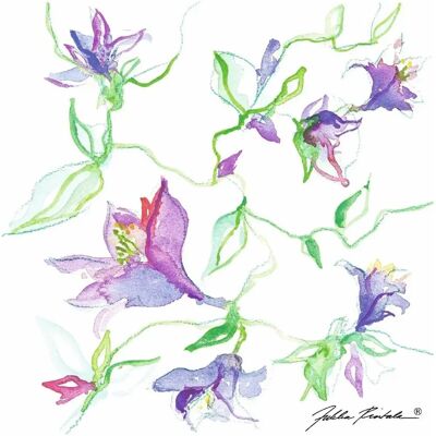 DUNI - Garden - 3-ply - 33x33cm - Paperinen lautasliina DUNI - Garden - 3-ply - 33x33cm - Paperinen lautasliina