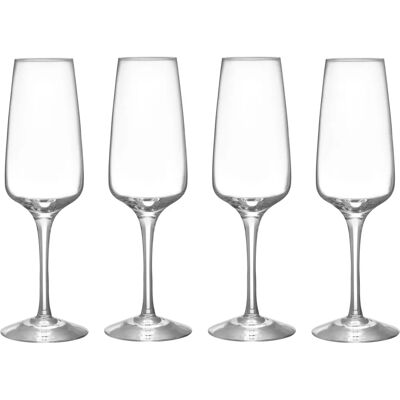 Orrefors Pulse Champagneglass 28cl - Champagneglass Orrefors Pulse Champagneglass 28cl - Champagneglass