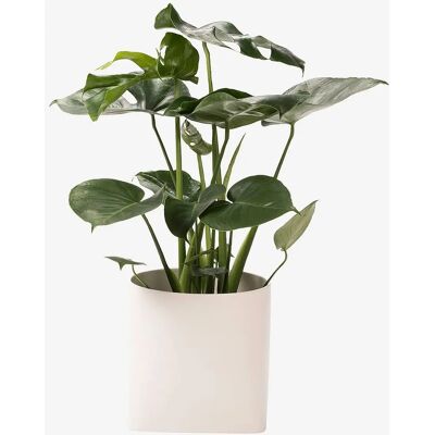 Markslöjd - Somma Pflanzkübel 20cm Weiß - Blumentopf & Vase Markslöjd - Somma Pflanzkübel 20cm Weiß - Blumentopf & Vase