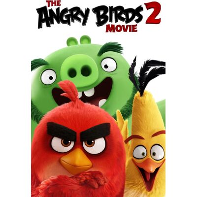 Sony Pictures The Angry Birds Movie 2 DVD - Perheviihde Sony Pictures The Angry Birds Movie 2 DVD - Perheviihde
