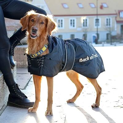 Back on Track 67 cm Hundemantel - Atmungsaktiv, Wasserabweisend, Welltex-Technologie Back on Track 67 cm Hundemantel - Atmungsaktiv, Wasserabweisend, Welltex-Technologie