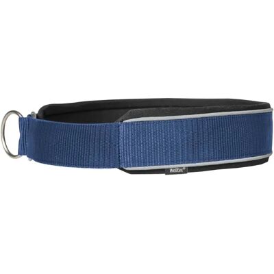 Collier pour Chiens Back on Track Charlie - Bleu - Réfléchissant - Confortable - Moyen - Publicité Collier pour Chiens Back on Track Charlie - Bleu - Réfléchissant - Confortable - Moyen - Publicité