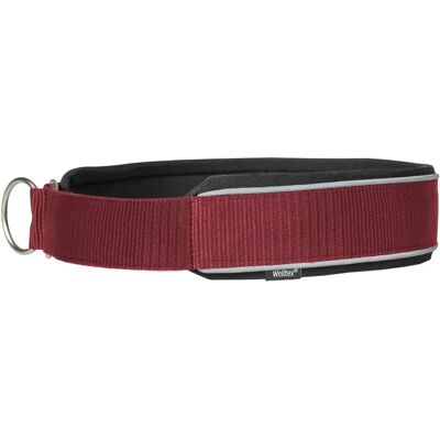 Back on Track - Charlie - 35 cm - Welltex-Polsterung - Halsband Back on Track - Charlie - 35 cm - Welltex-Polsterung - Halsband