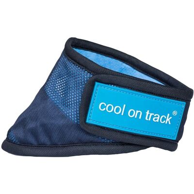 Back on Track Hundekylbandana - Blå - XL Back on Track Hundekylbandana - Blå - XL