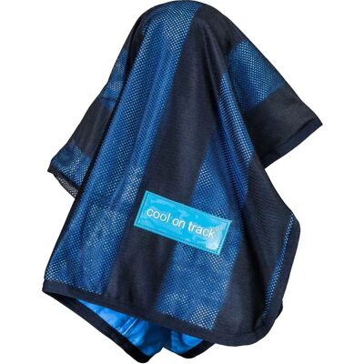 Back on Track Cool on Track Tapis Rafraîchissant - Bleu - 106x76 - Publicité Back on Track Cool on Track Tapis Rafraîchissant - Bleu - 106x76 - Publicité
