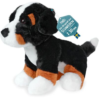 Molli Toys Bernski pies górski - Pluszowa zabawka Molli Toys Bernski pies górski - Pluszowa zabawka