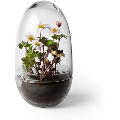 Mini grow drivhus - Klar - Design House Stockholm Mini grow drivhus - Klar - Design House Stockholm