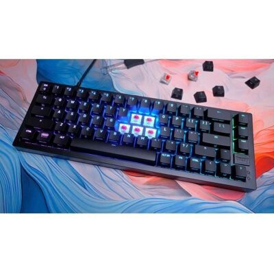 Clavier Cherry K5V2 Mécanique - 65% Gaming RGB - Publicité Clavier Cherry K5V2 Mécanique - 65% Gaming RGB - Publicité