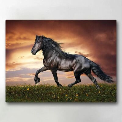 Yleinen Hevonen Canvas - 40x30 cm - Seinää Taide Yleinen Hevonen Canvas - 40x30 cm - Seinää Taide