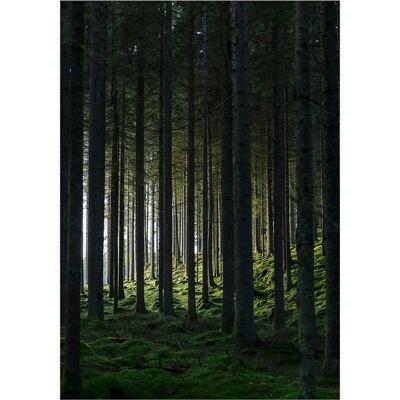 Venture Home - Plakat Woods - Sort - Posters - 30X40 Venture Home - Plakat Woods - Sort - Posters - 30X40