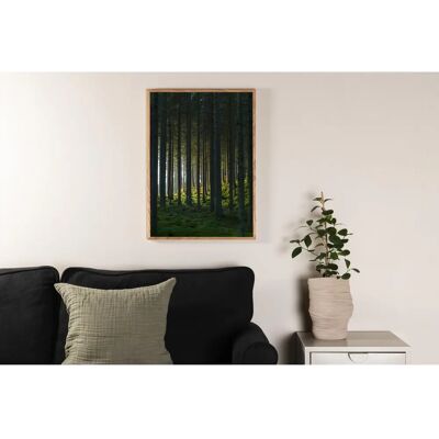 Venture Home Woods Plakat - 70x100 - Waldmotiv Venture Home Woods Plakat - 70x100 - Waldmotiv