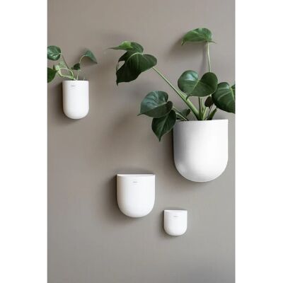 DBKD - CUT - Hvit - Medium - Veggplanter DBKD - CUT - Hvit - Medium - Veggplanter