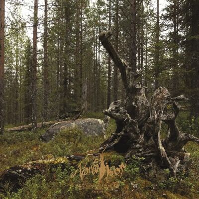 Nordvisor NVP207LP - Limited Edition Vinyl Record Nordvisor NVP207LP - Limited Edition Vinyl Record