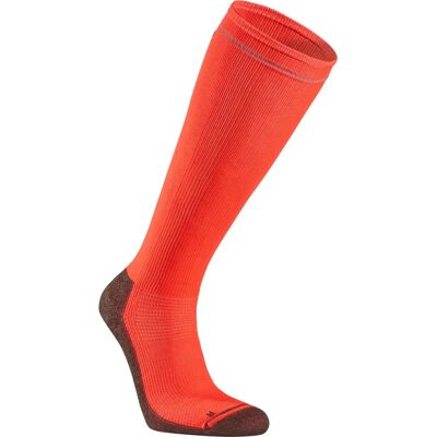 Seger - Kompresjonssokker Running Mid Compression Orange Kvinner Coral Seger - Kompresjonssokker Running Mid Compression Orange Kvinner Coral