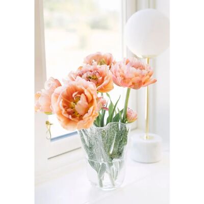 Dorre Tulipan vase - Gennemsigtig - 20cm - Dekorativ blomsterpotte Dorre Tulipan vase - Gennemsigtig - 20cm - Dekorativ blomsterpotte