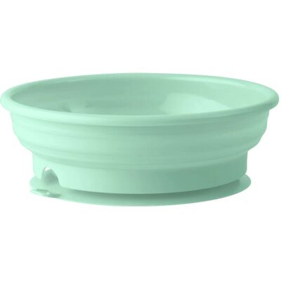 Bambino Stay Put Bowl – Mint Bambino Stay Put Bowl – Mint
