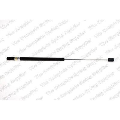 Lesjöfors 8004215 Gasservoar - Framskärm - till Audi A8 D2 Lesjöfors 8004215 Gasservoar - Framskärm - till Audi A8 D2