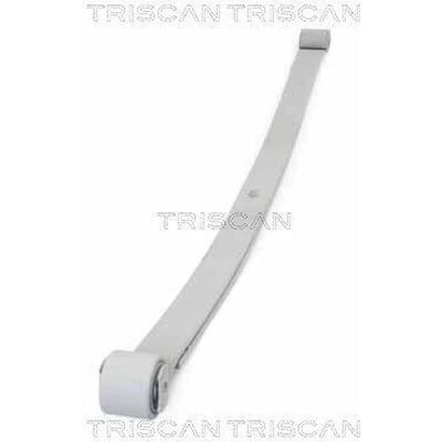 TRISCAN 8765 10006 Hinterachslamellenfeder - Lame De Ressort TRISCAN 8765 10006 Hinterachslamellenfeder - Lame De Ressort