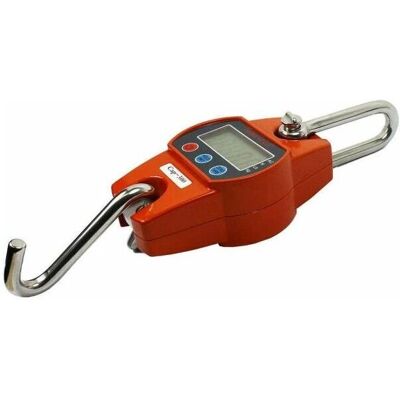 EXSENSA - - 300 kg - Digital display - Crane scale EXSENSA - - 300 kg - Digital display - Crane scale