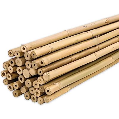 Soutiens en bambou Plantawa 120cm - Supports agricoles pour plantes - Publicité Soutiens en bambou Plantawa 120cm - Supports agricoles pour plantes - Publicité