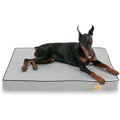 BingoPaw - XL 110x85x10cm - Ortopédico - Dog Bed BingoPaw - XL 110x85x10cm - Ortopédico - Dog Bed