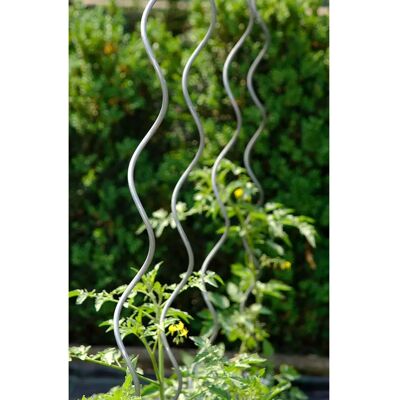 Set di supporti a spirale Agrati - Pomodori, Piante rampicanti - 180cm Set di supporti a spirale Agrati - Pomodori, Piante rampicanti - 180cm