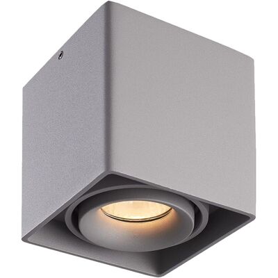Hofronic Esto Grijs Dimbare LED Opbouw Plafondspot - Inbouwspot Hofronic Esto Grijs Dimbare LED Opbouw Plafondspot - Inbouwspot