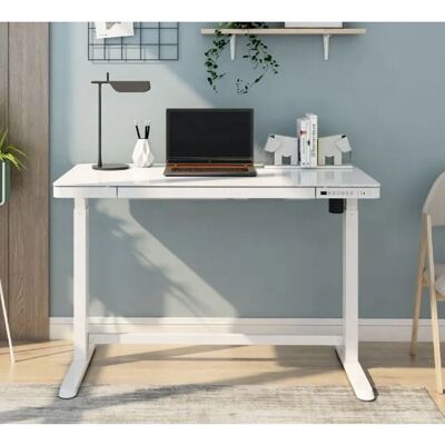 Euroseats Elektrisch Verstelbaar Bureau - 120x60 - Wit Glas Euroseats Elektrisch Verstelbaar Bureau - 120x60 - Wit Glas