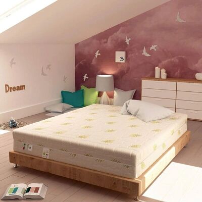 Materasso Baldiflex Memory Dream Soft con Rivestimento Aloe Vera - Materasso Materasso Baldiflex Memory Dream Soft con Rivestimento Aloe Vera - Materasso