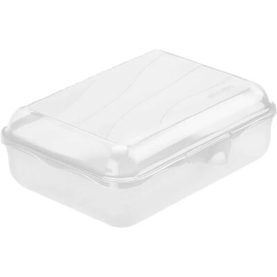 Rotho Transparente 1,25L Lunchbox - Lunch Container Rotho Transparente 1,25L Lunchbox - Lunch Container