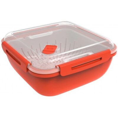 Rotho Mémoire Boîte Carrée 1,7 L Rouge - Vapeur Rotho Mémoire Boîte Carrée 1,7 L Rouge - Vapeur