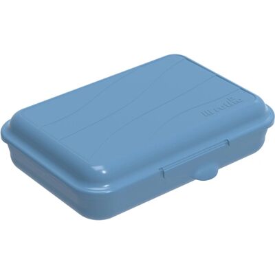 Rotho Blaue Lunchbox - Lebensmittelecht, BPA-frei, 16x11x4 cm Rotho Blaue Lunchbox - Lebensmittelecht, BPA-frei, 16x11x4 cm