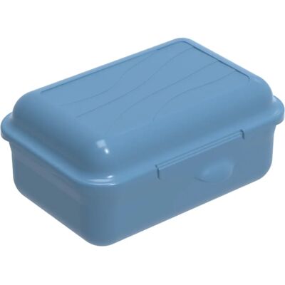 Rotho Horizon Blue Lunchbox - BPA-frei, Kompakt, Vielseitig Rotho Horizon Blue Lunchbox - BPA-frei, Kompakt, Vielseitig