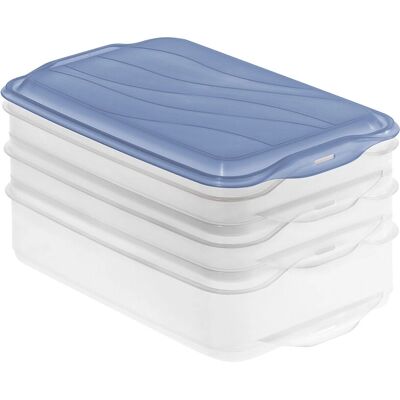 Rotho Horizon Blue Lebensmittelbox - 2 x 0,75L, 1 x 1,35L Rotho Horizon Blue Lebensmittelbox - 2 x 0,75L, 1 x 1,35L