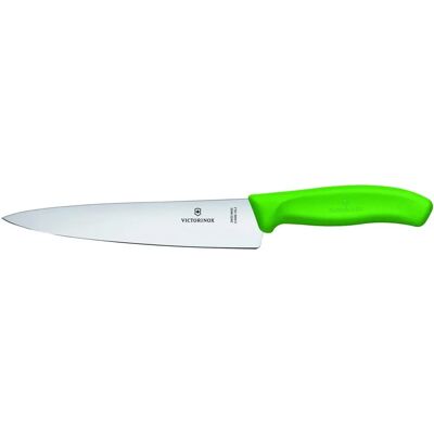 Victorinox Swiss Classic Tranchiermesser - Schweizer Qualität - Grün Victorinox Swiss Classic Tranchiermesser - Schweizer Qualität - Grün