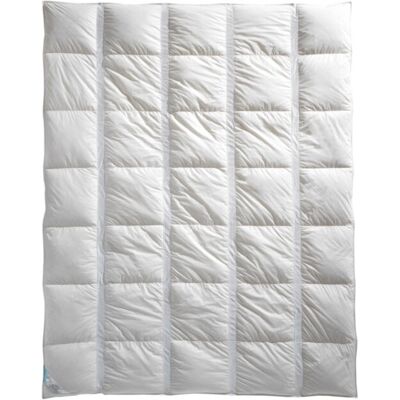 Billerbeck - Climabalance Light - 160 x 210 cm - Daunenfeder - Daunendecke Billerbeck - Climabalance Light - 160 x 210 cm - Daunenfeder - Daunendecke