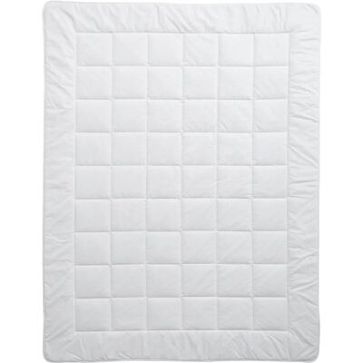 Billerbeck N1256-01 200x210 Bamboo/Polyester Bettdecke Billerbeck N1256-01 200x210 Bamboo/Polyester Bettdecke