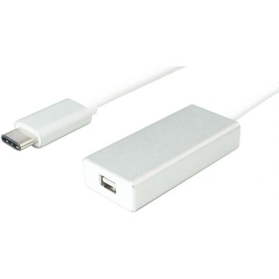 VALUE USB-C / Mini-DisplayPort Adapterkabel - 0,1 m Weiß VALUE USB-C / Mini-DisplayPort Adapterkabel - 0,1 m Weiß