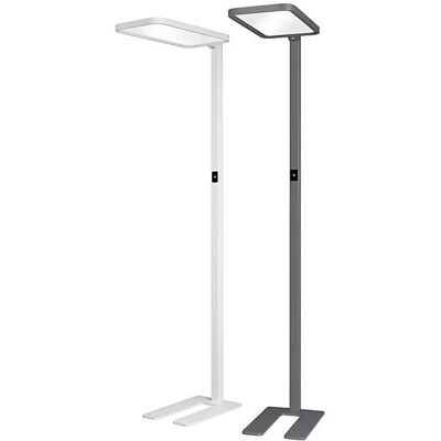 Hansa SAPHIR LED-Stehlampe - Einstellbare Helligkeit Hansa SAPHIR LED-Stehlampe - Einstellbare Helligkeit