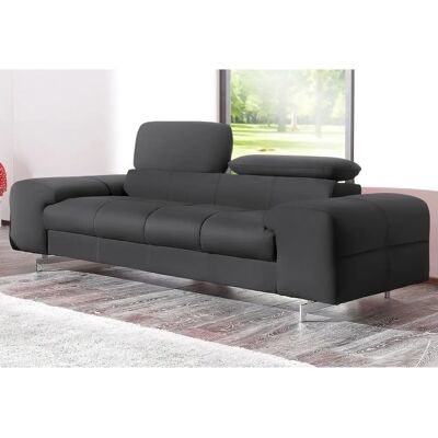 COTTA Chef 2-Sitzer Sofa - Leder & Mikrofaser - Modernes Design COTTA Chef 2-Sitzer Sofa - Leder & Mikrofaser - Modernes Design