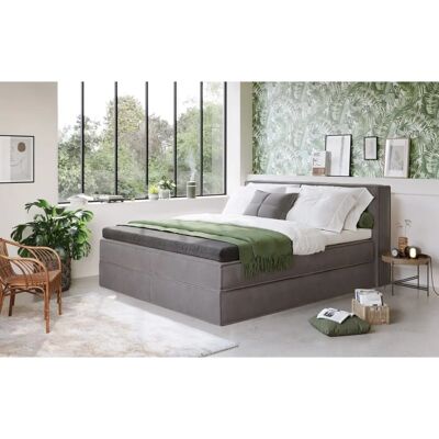 HOME AFFAIRE Sacy Velours Velvet Silber Boxspringbett - 180x200 cm HOME AFFAIRE Sacy Velours Velvet Silber Boxspringbett - 180x200 cm