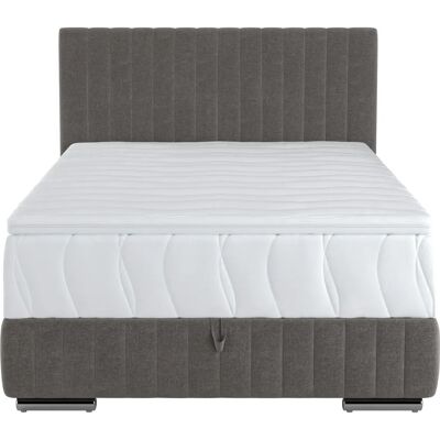 COTTA - Beetle - Grau - 140x200 cm - Bett COTTA - Beetle - Grau - 140x200 cm - Bett