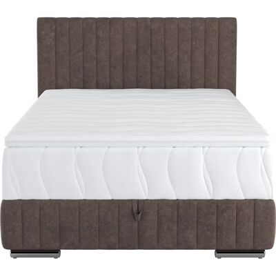 COTTA - Beetle - braun - 148x210 cm - Boxbett COTTA - Beetle - braun - 148x210 cm - Boxbett