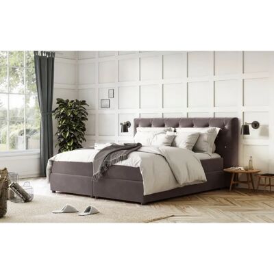 COTTA - Castle - Stein - 207x222 cm - Boxspringbett COTTA - Castle - Stein - 207x222 cm - Boxspringbett
