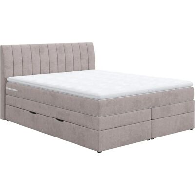 COTTA - Shark - Bettkasten - Topper - Boxspringbett COTTA - Shark - Bettkasten - Topper - Boxspringbett